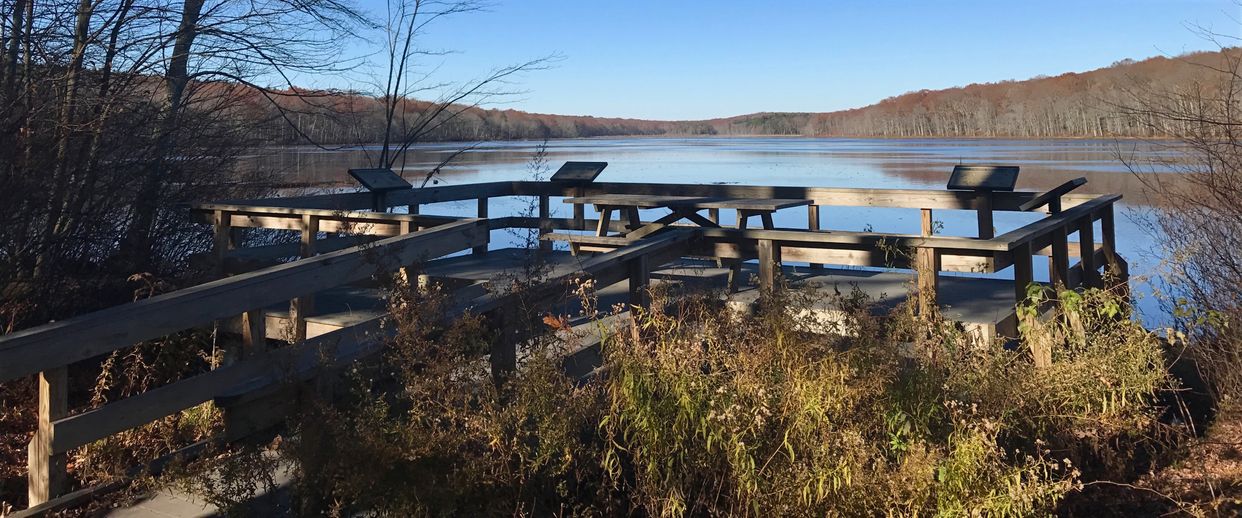 Pine Acres Lake 