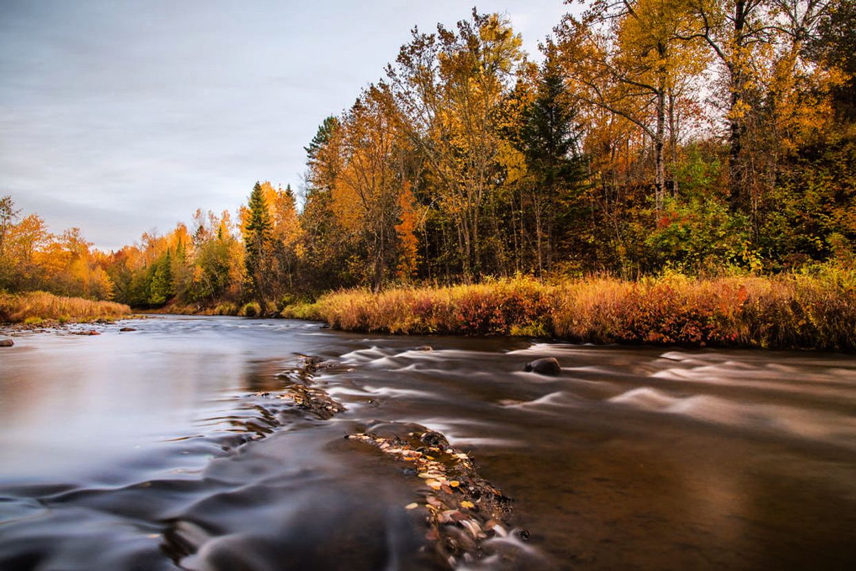 Stream in Carlisle
