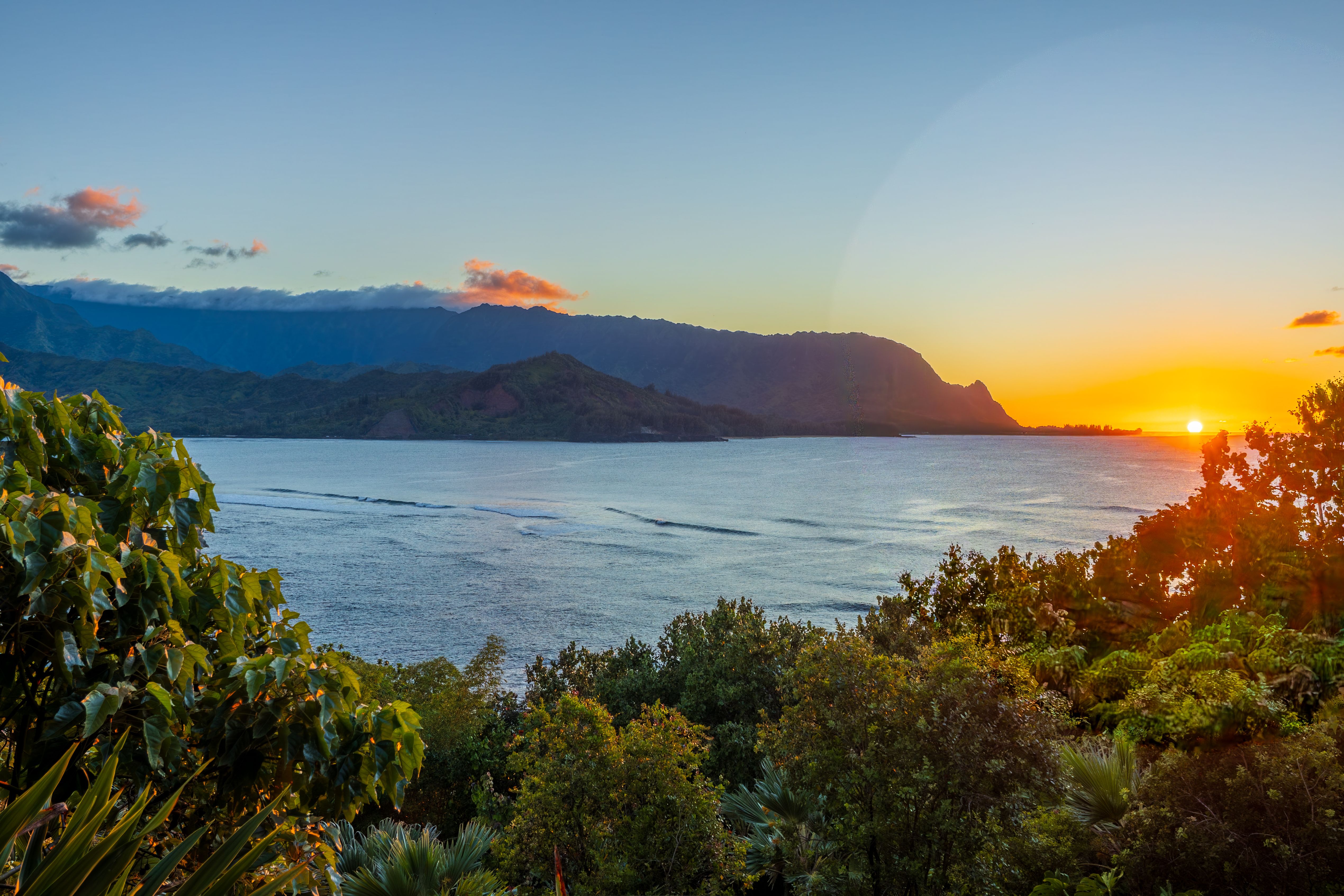 Leolani Cove — Photo by calebseyemedia