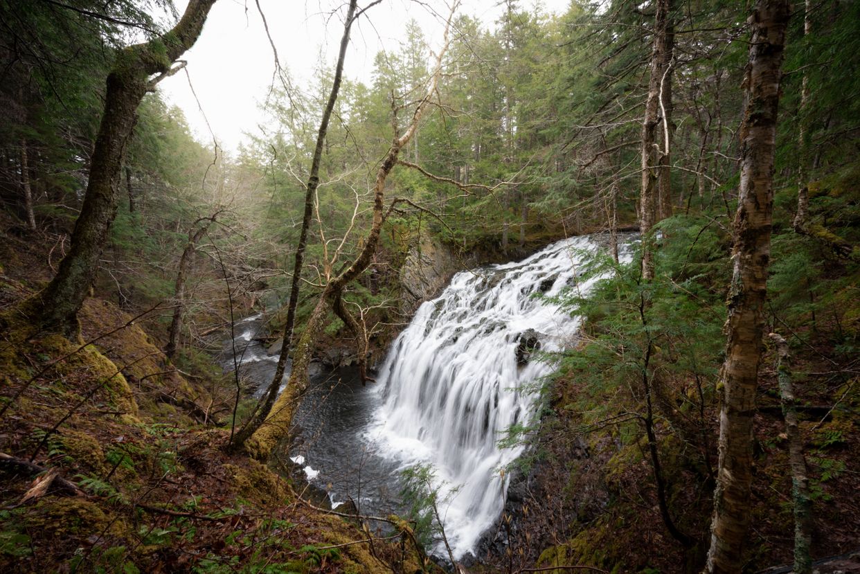 Maple Brook Falls