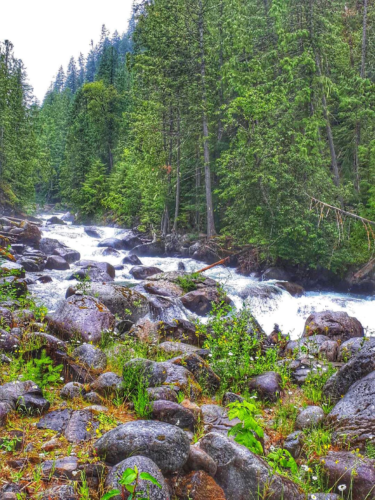 Coffee Creek 