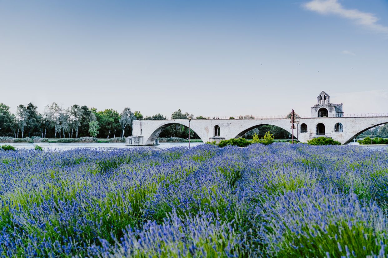Pont Saint-Bénézet (Le Pont d'Avignon)