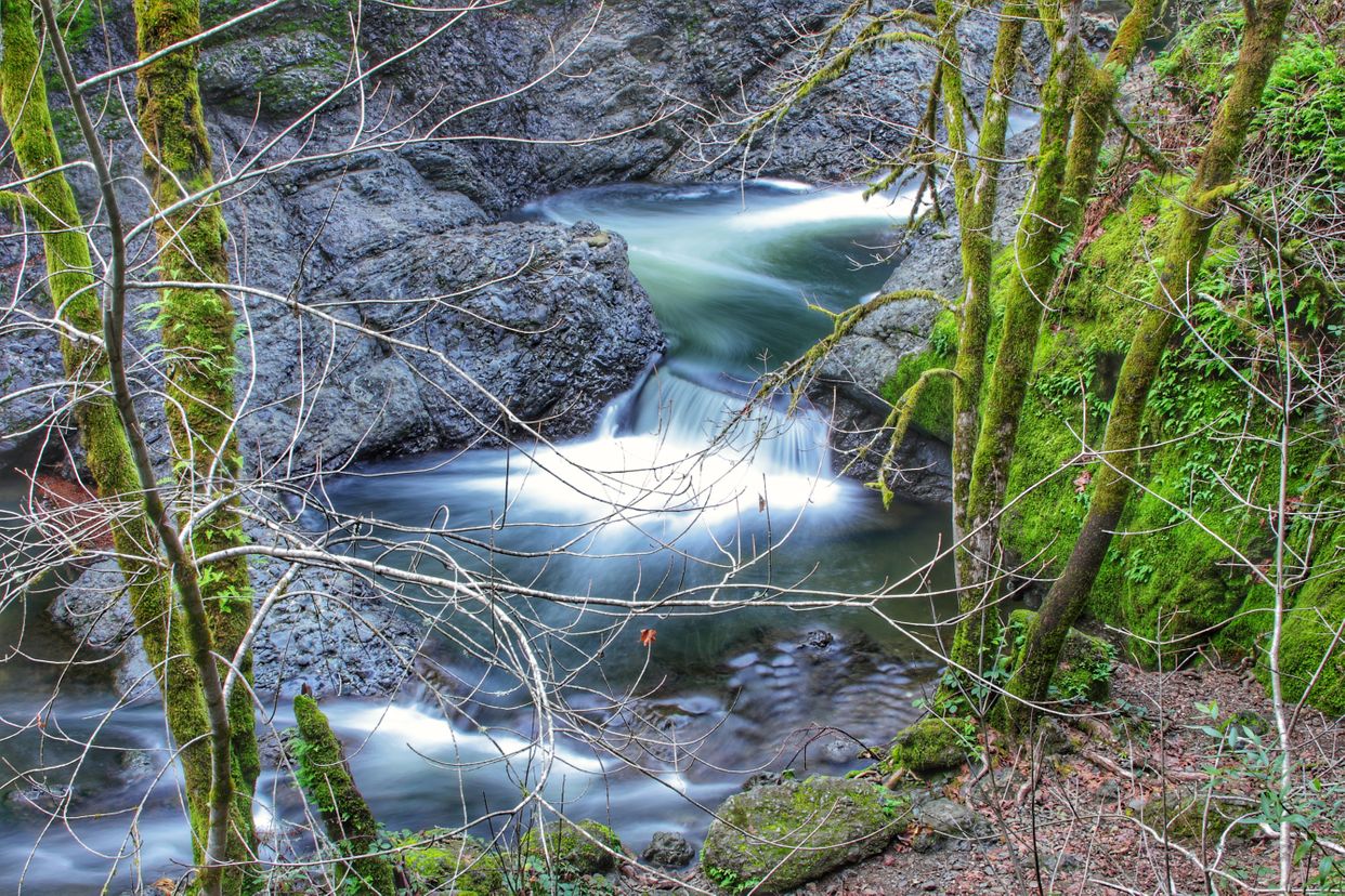 Lagunitas Creek Inkwells