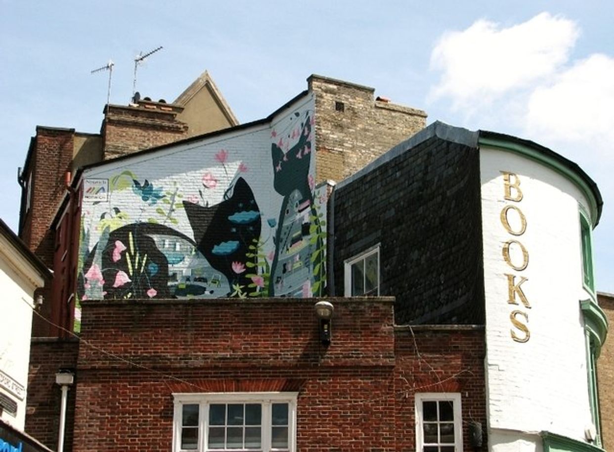 Bedford Street - Cats