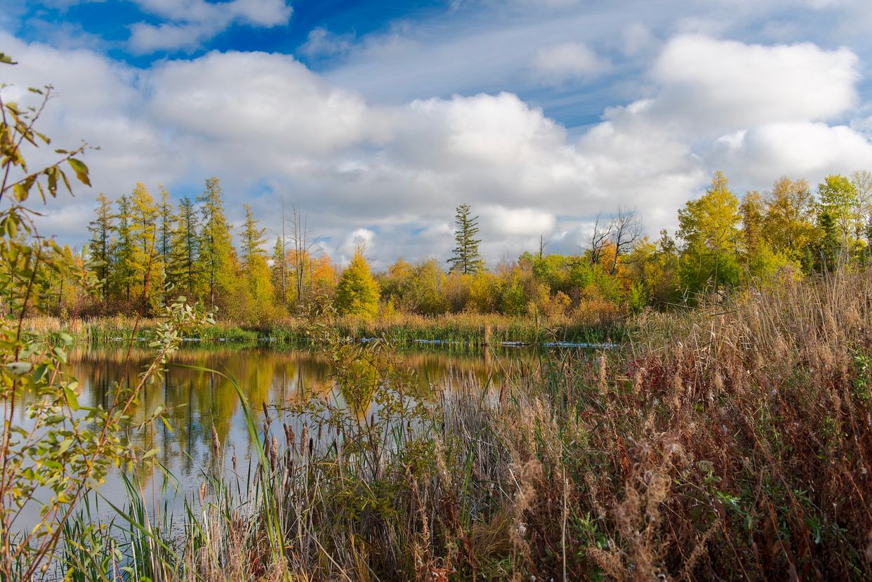 Hecla / Grindstone Provincial Park