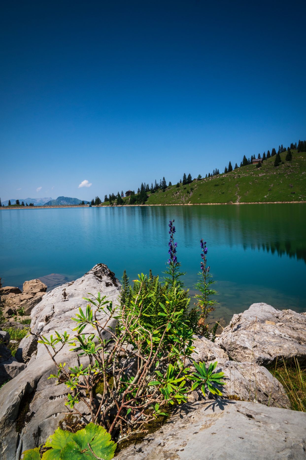Bannalpsee