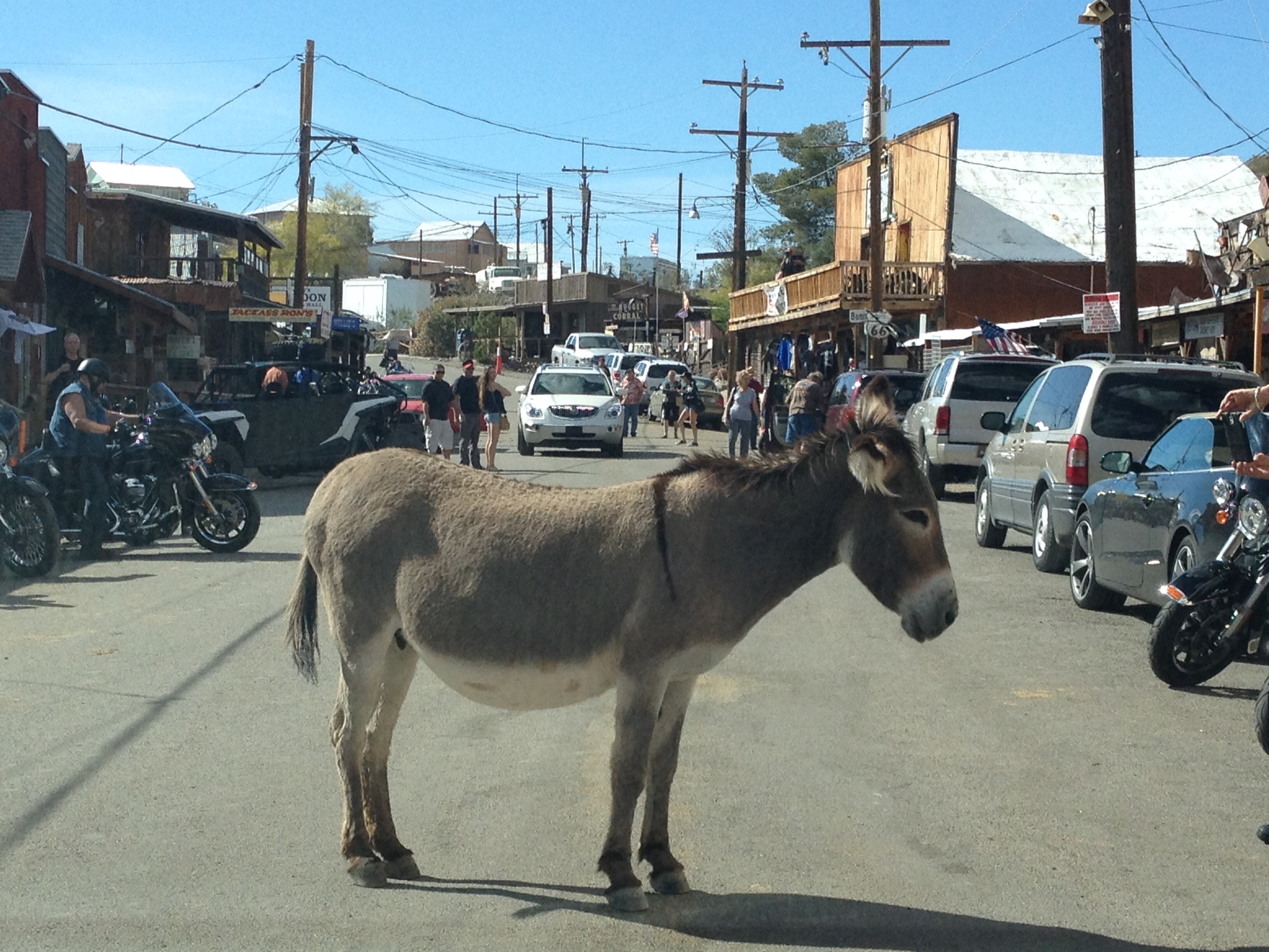 Oatman — Photo by rosek