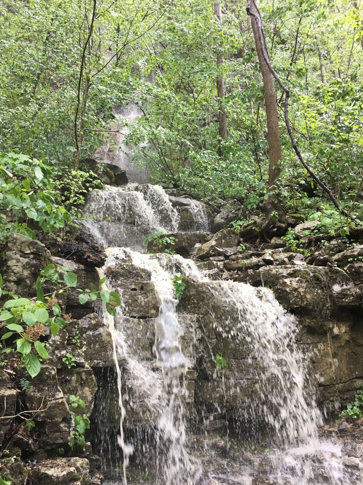  Walls of Jericho Trail Waterfall