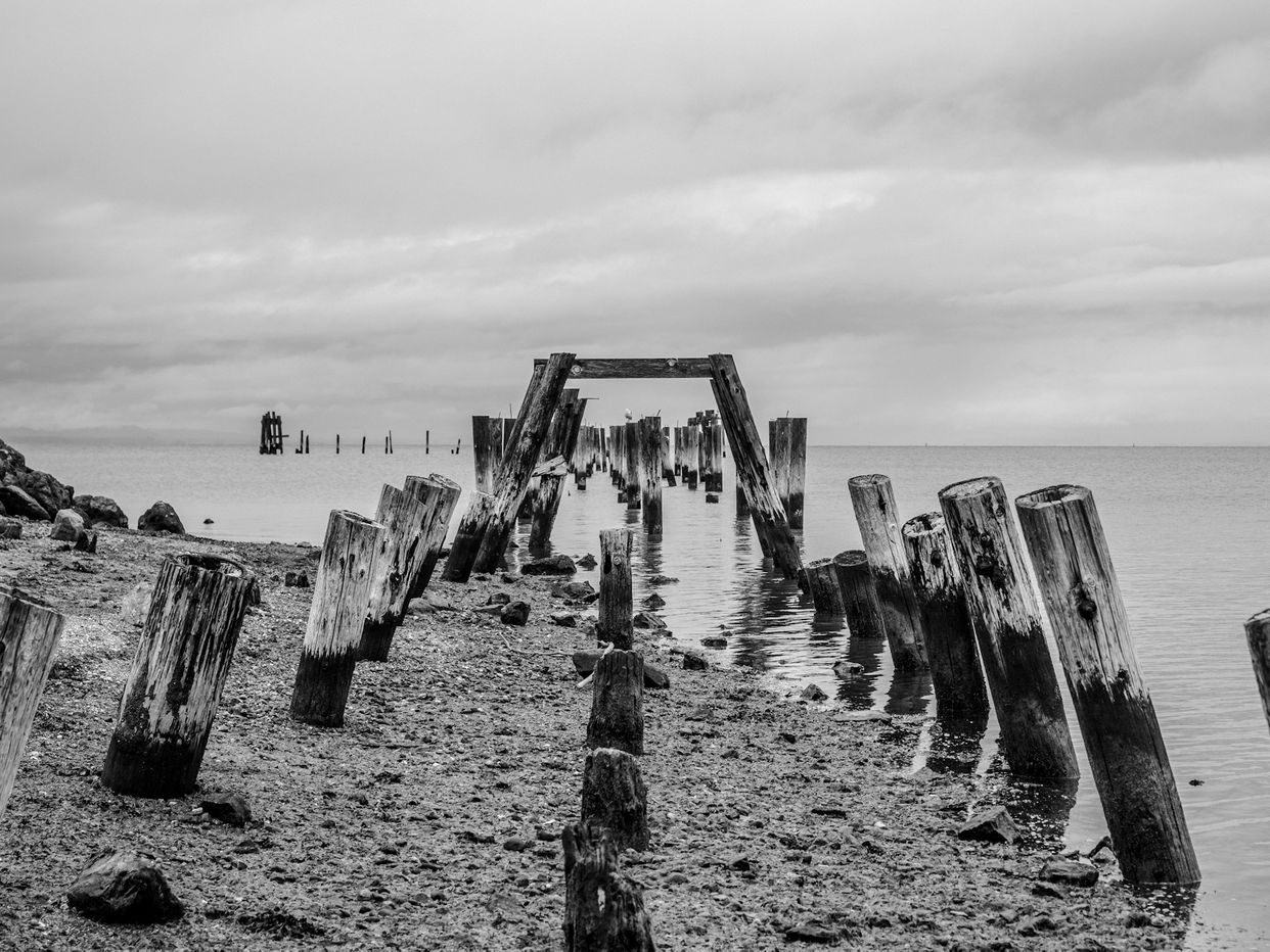 Old Abandoned Pier, Point Pinole