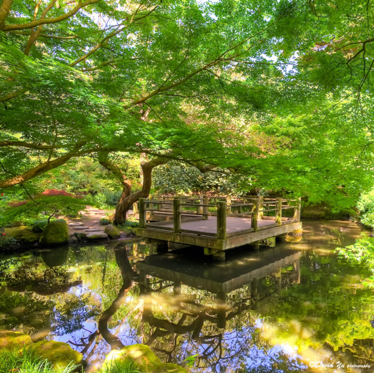 San Francisco Botanical Garden