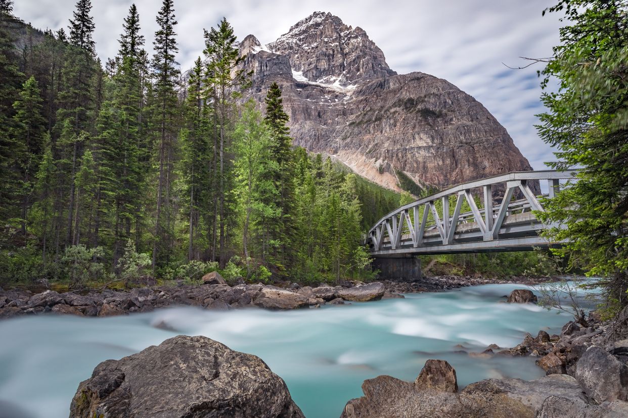 Yoho Valley Road View