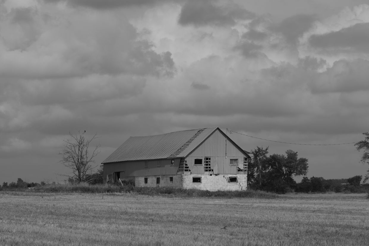 Photogenic Barn