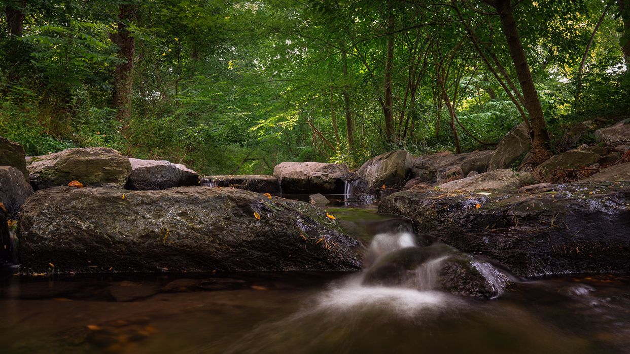 Twinbrook Creek