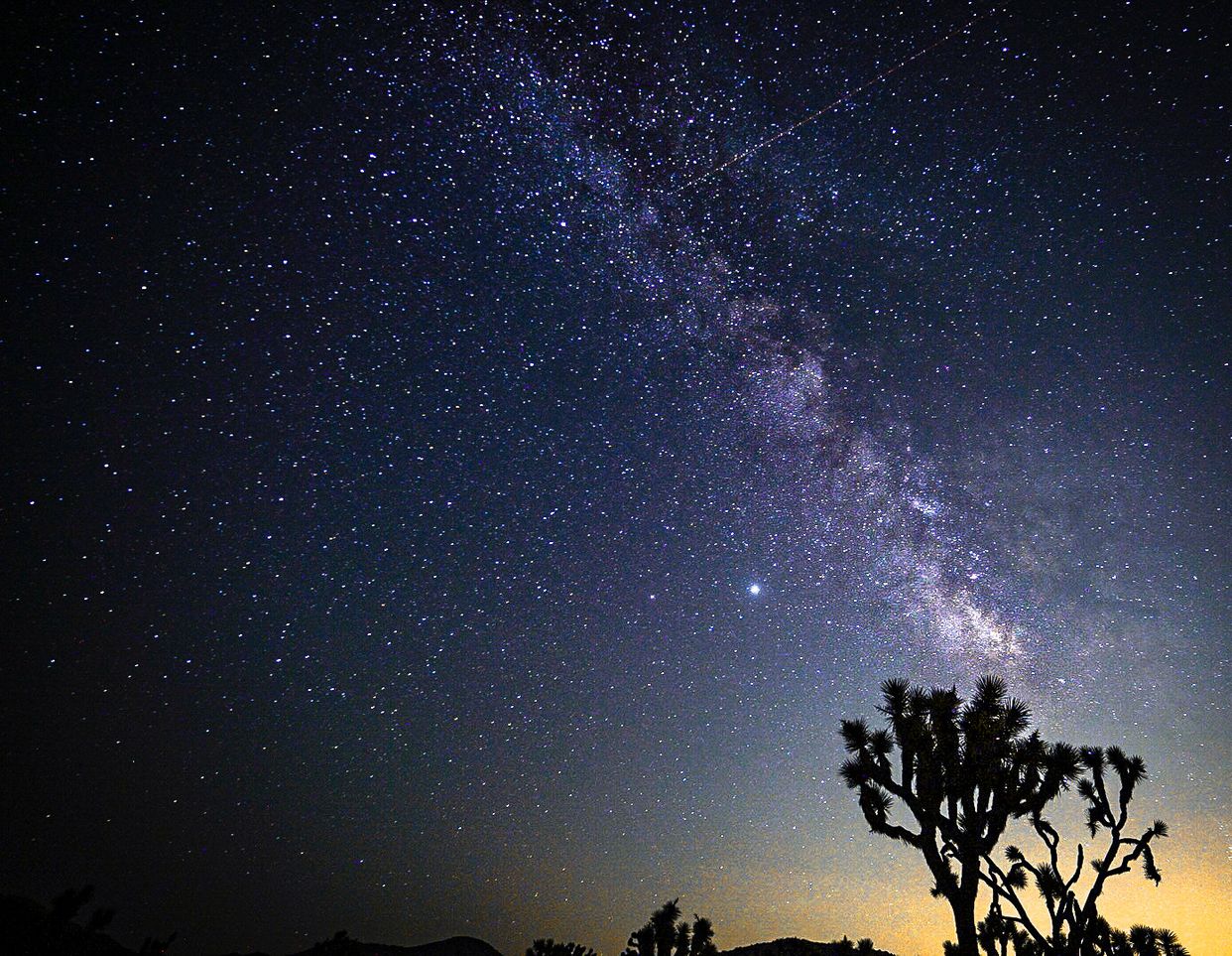 Joshua Tree National Park