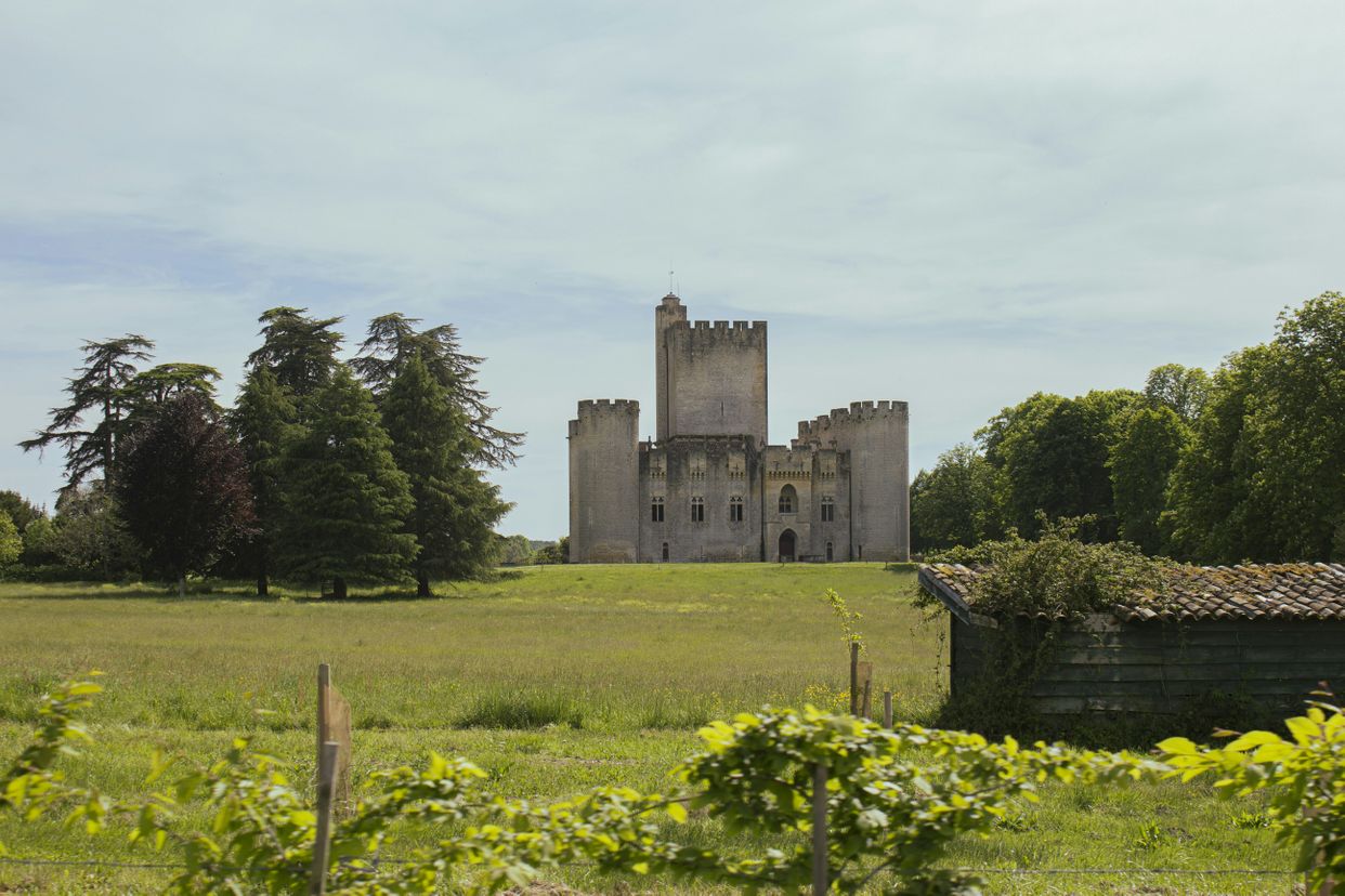 Castle Roquetaillade