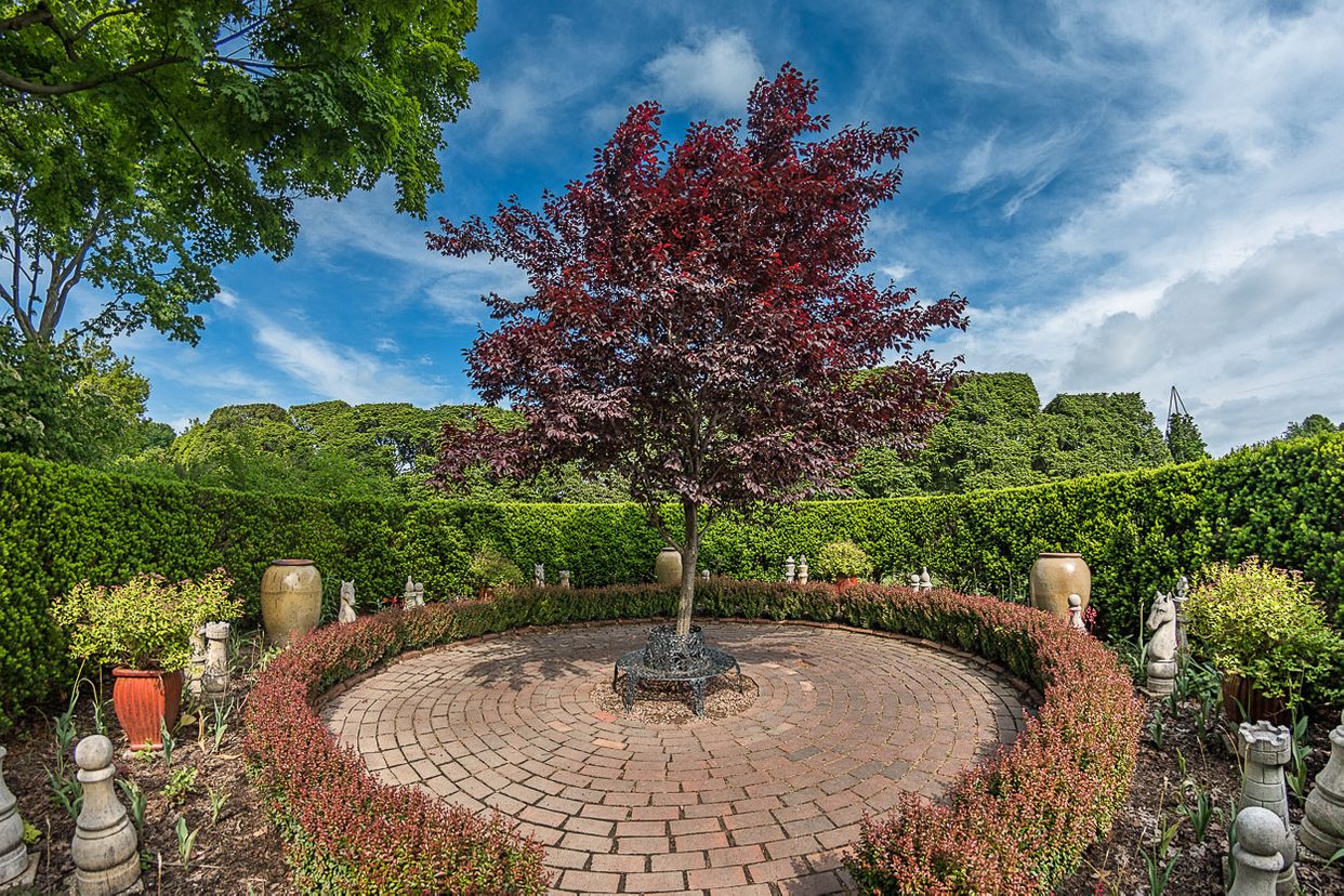Ladew Tree Grove 