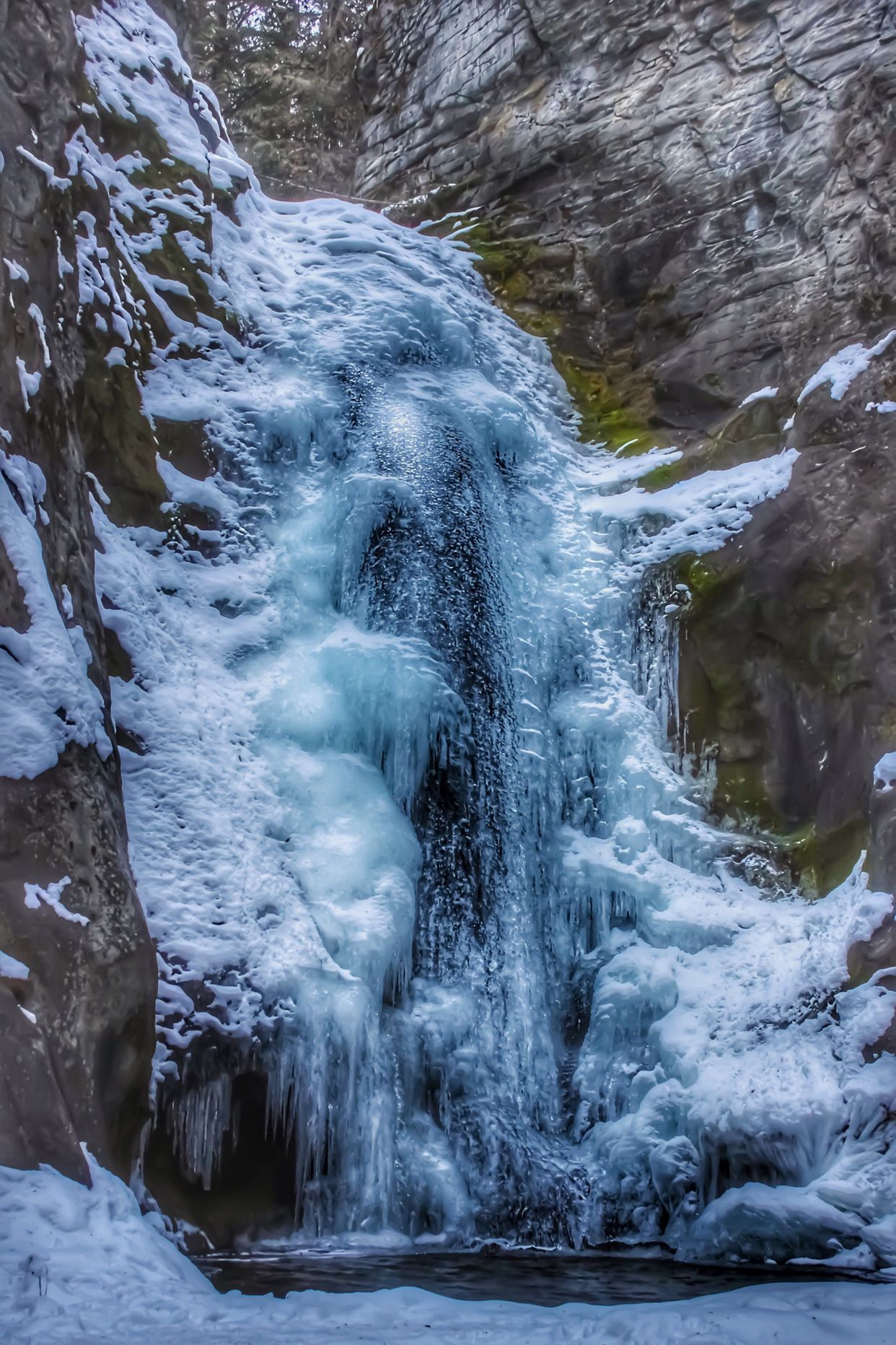 Tulip Creek Falls