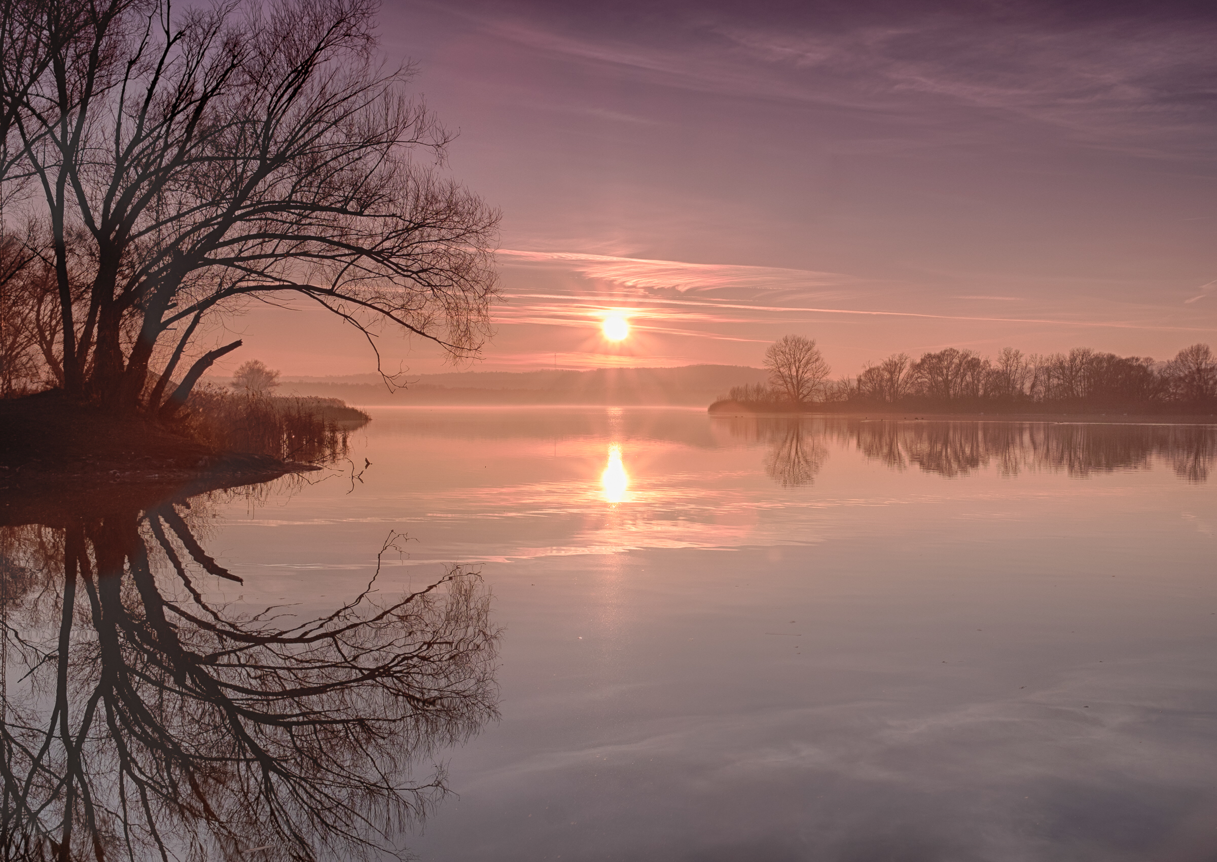 Kis-Balaton View — Photo by pesawapics.com