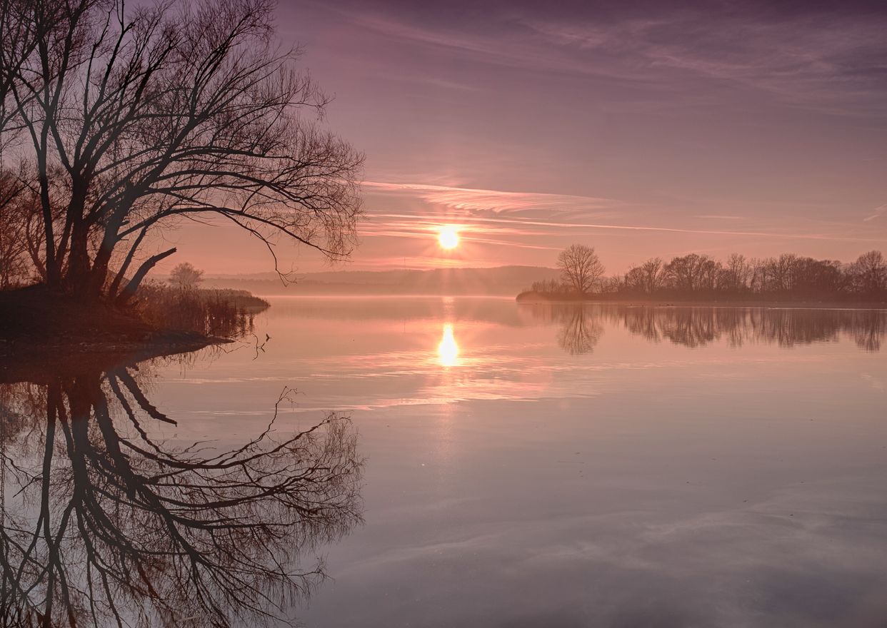 Kis-Balaton View