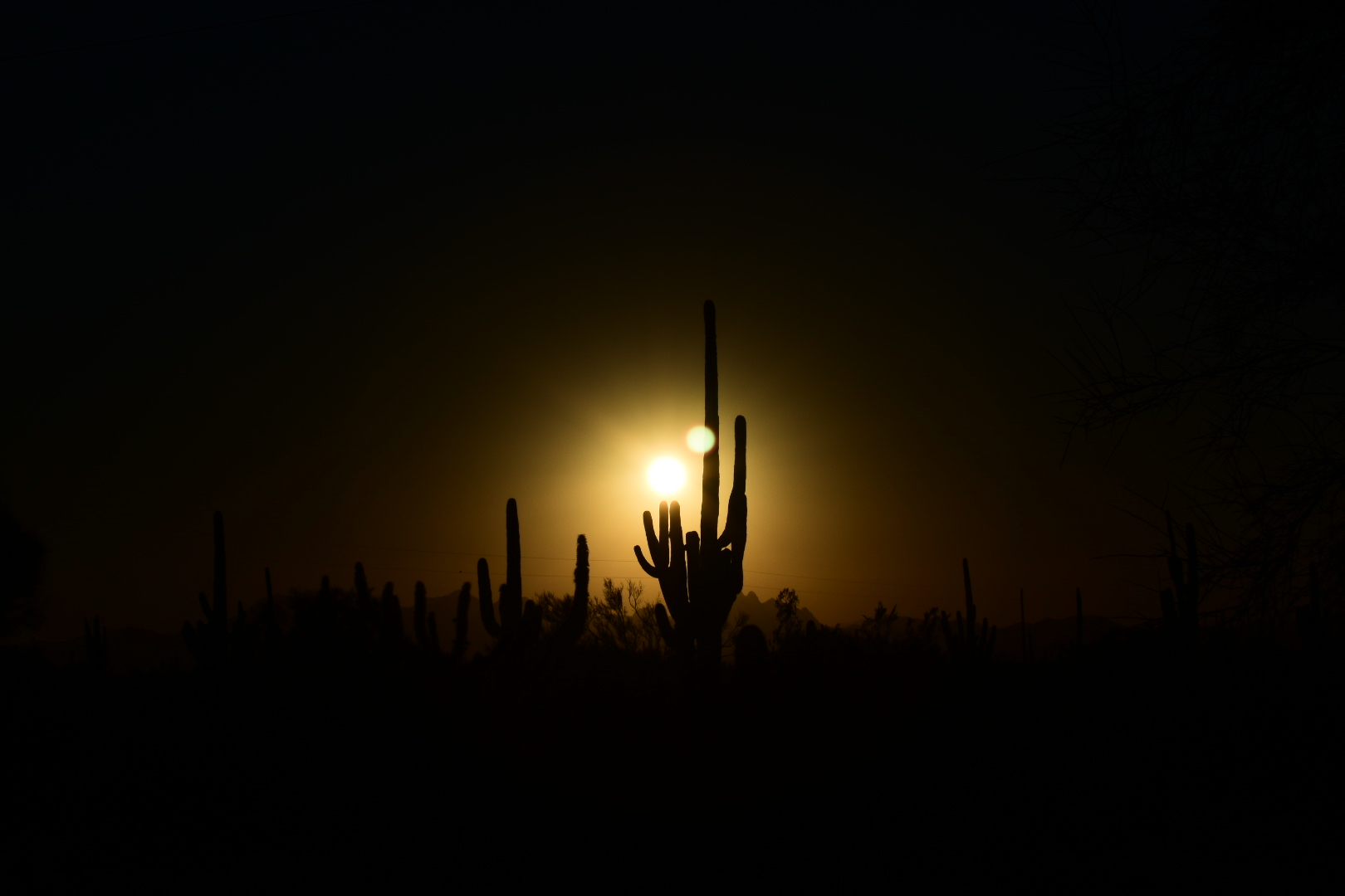 Marana Backroad — Photo by ACC Photography
