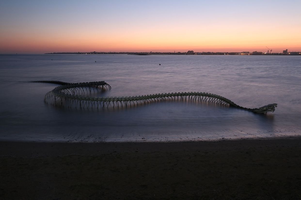 Serpent d'Océan