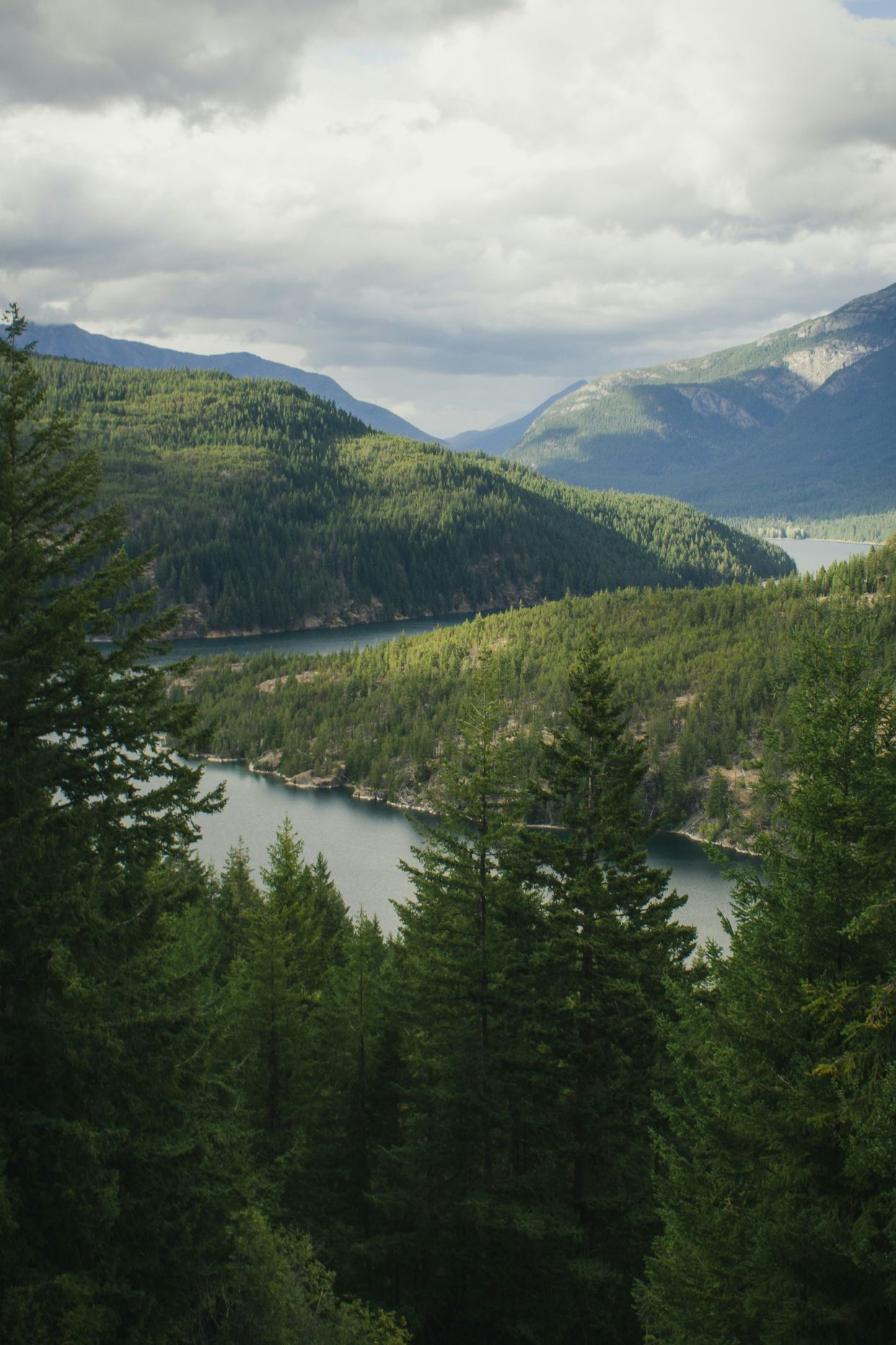 Ross Lake Overlook