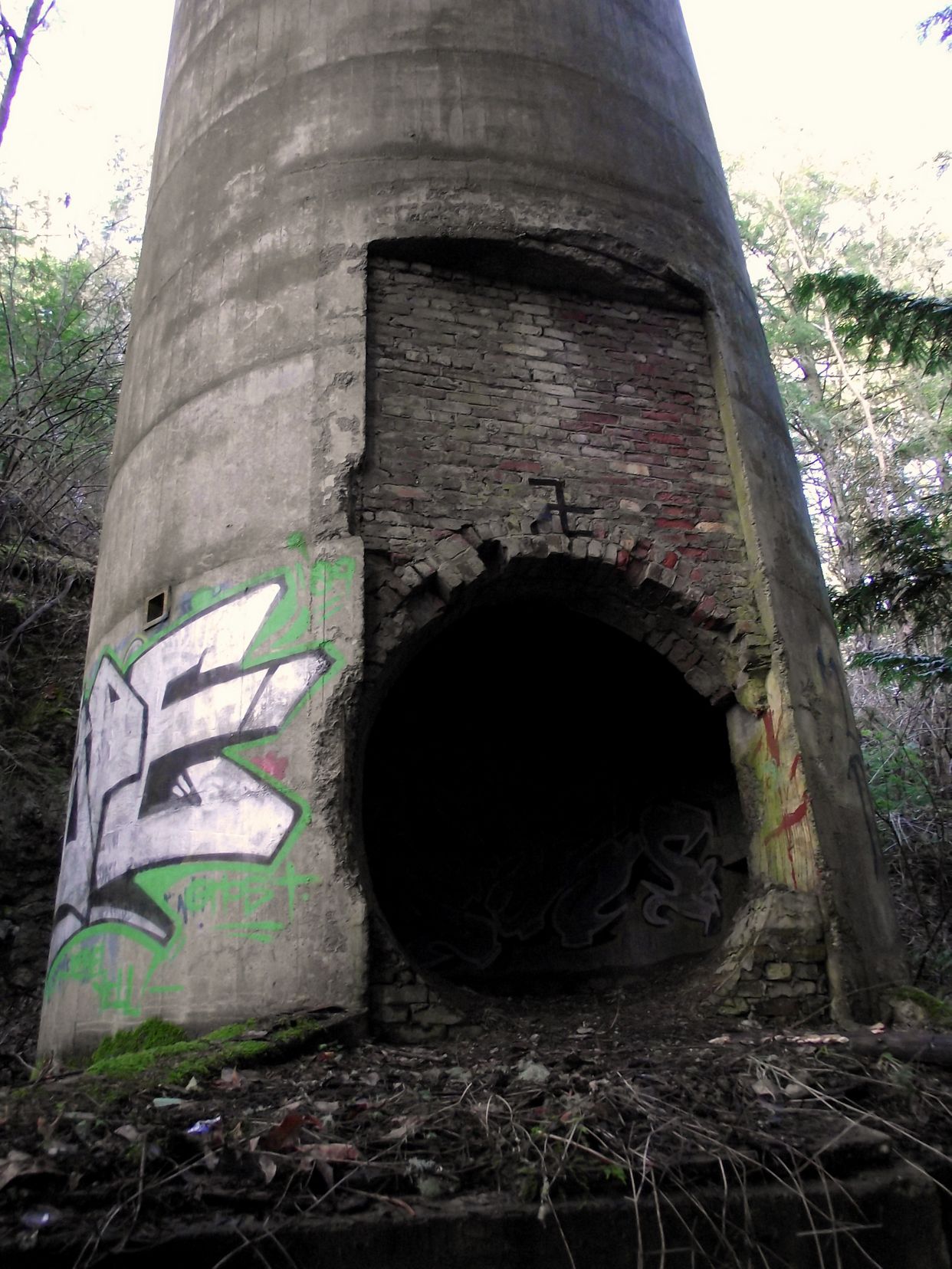 Abandoned Smokestack