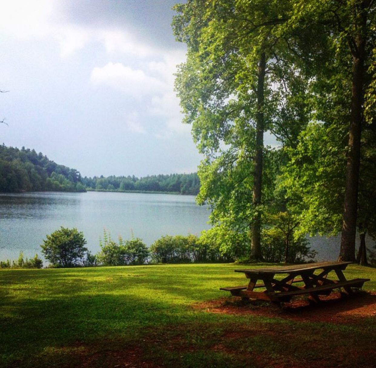 Lake Julia - Dupont State Forest