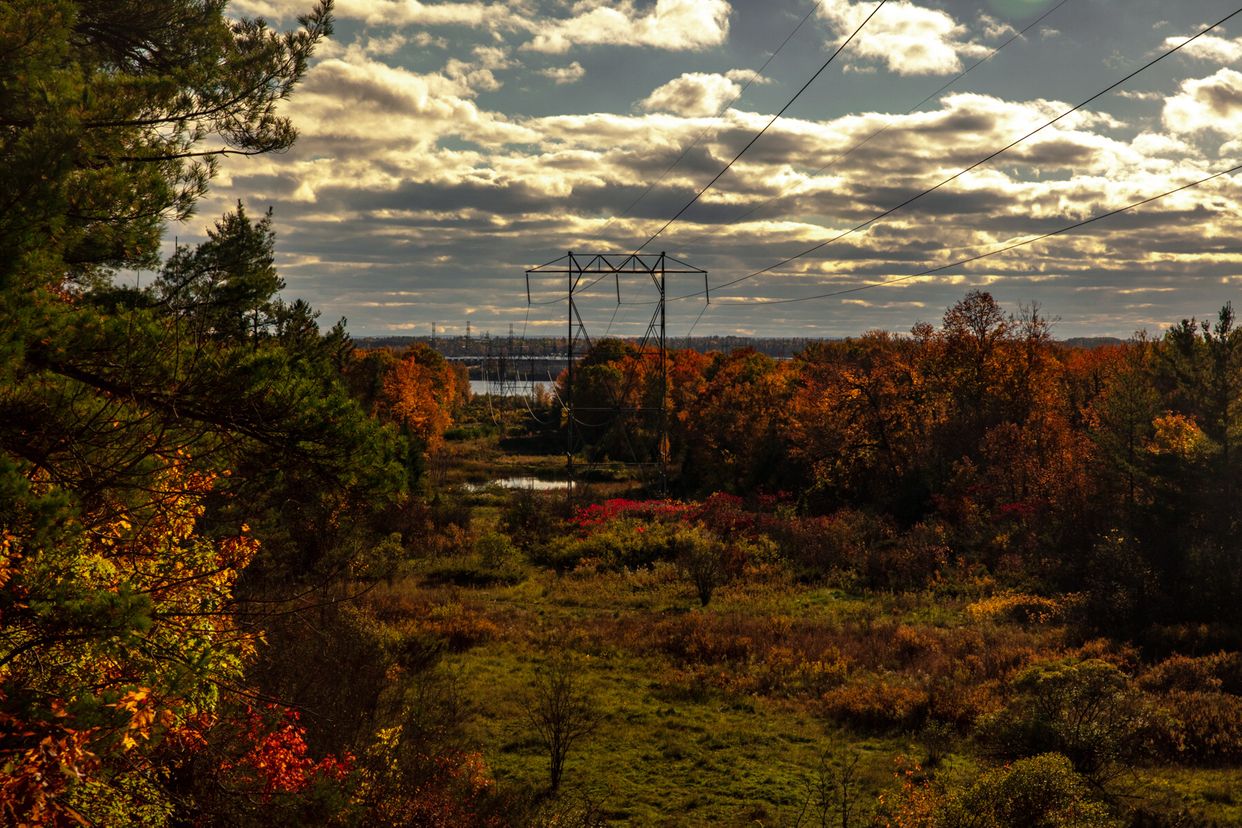 Powerline Lookout