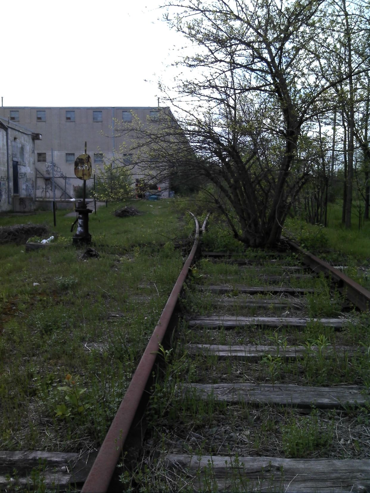 Train Track Tree