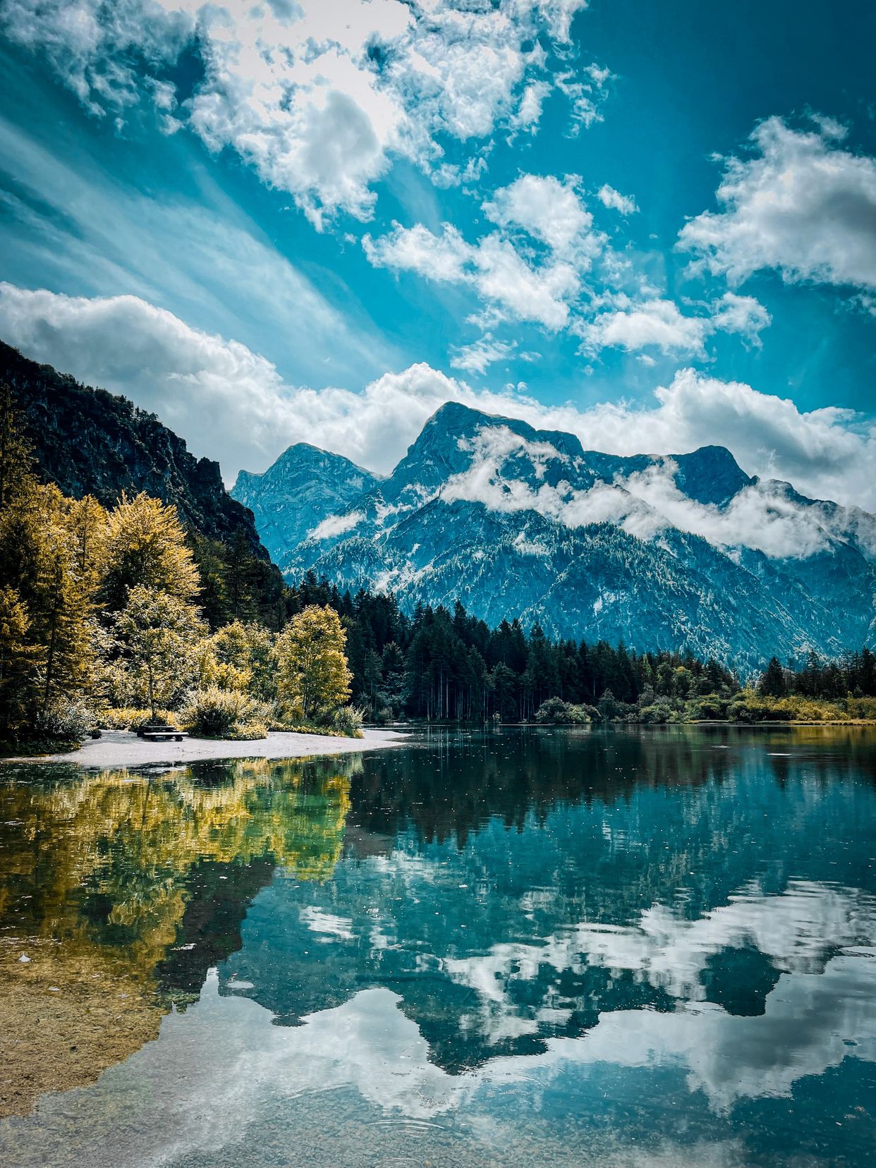 Almsee