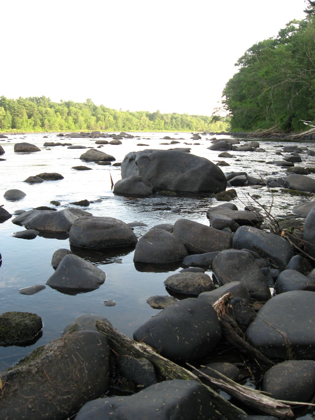 Penobscot River