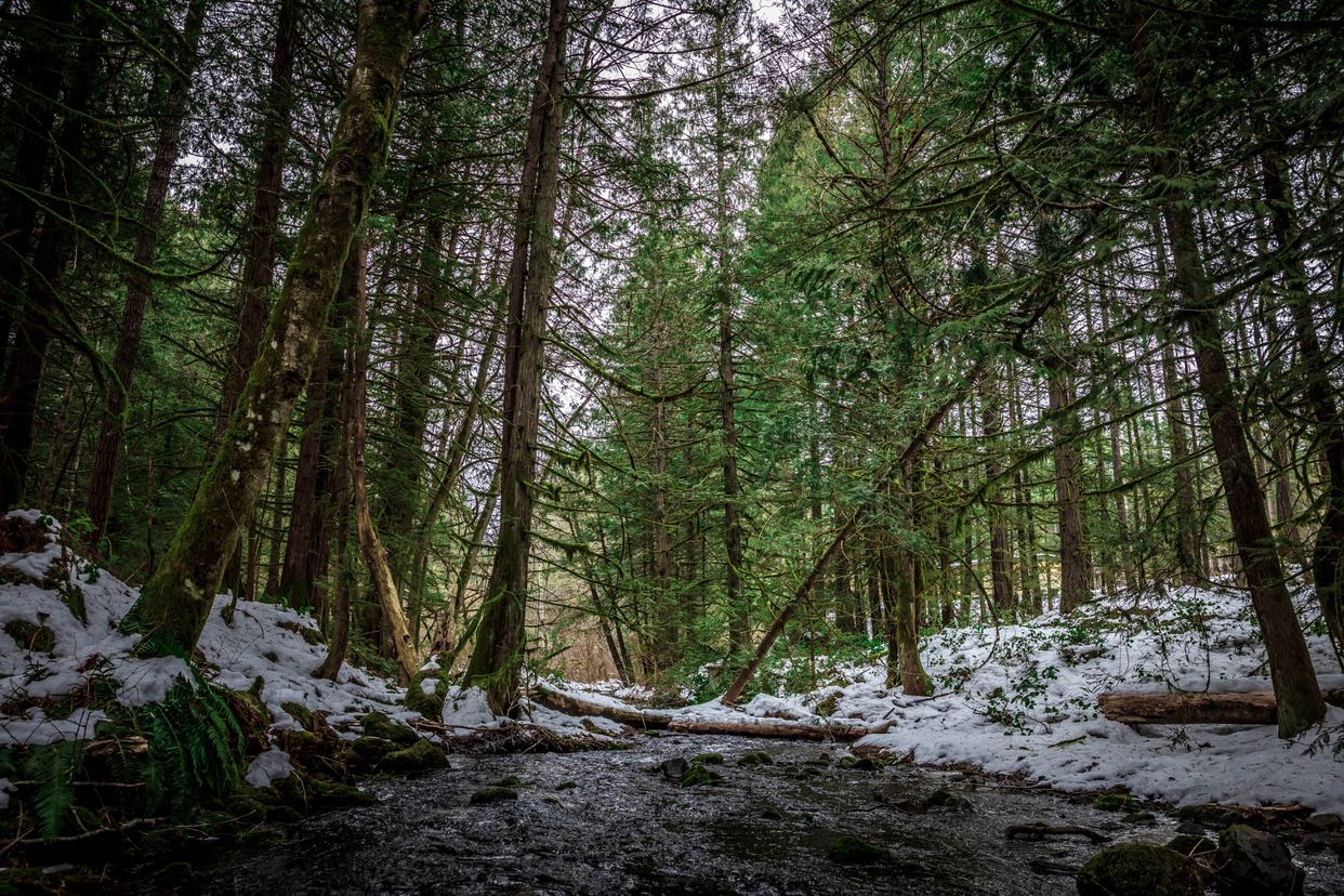 Millstream