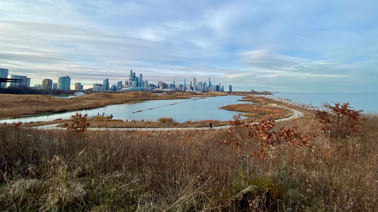 Northerly Island Park
