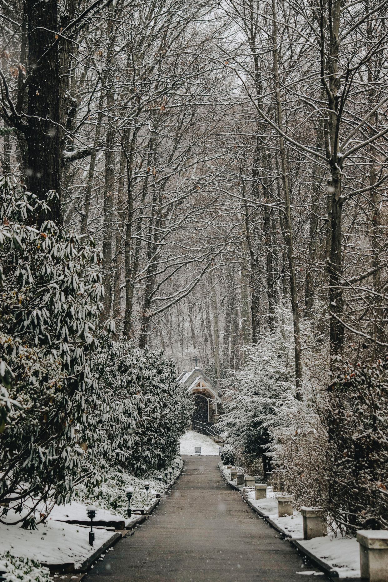 The Grotto of Our Lady of Lourdes