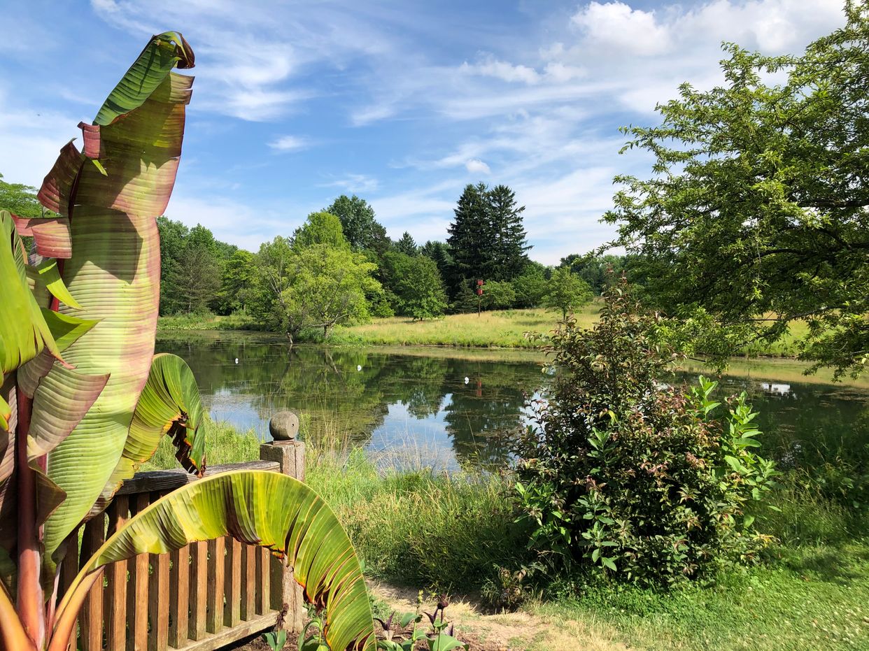 Toledo Botanical Garden