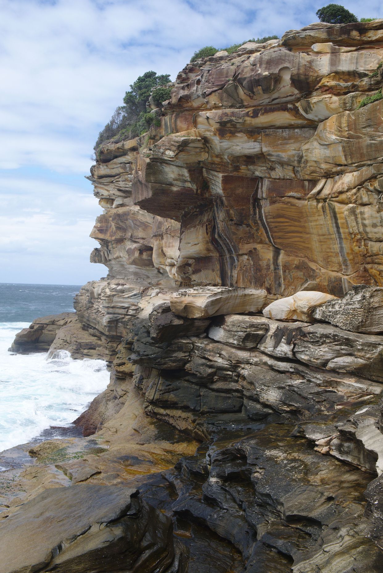Bronte Cliffs