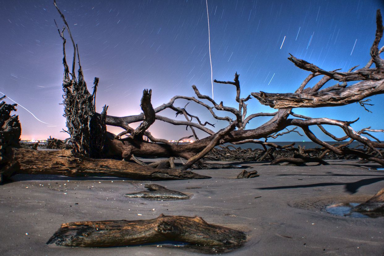 Driftwood Beach