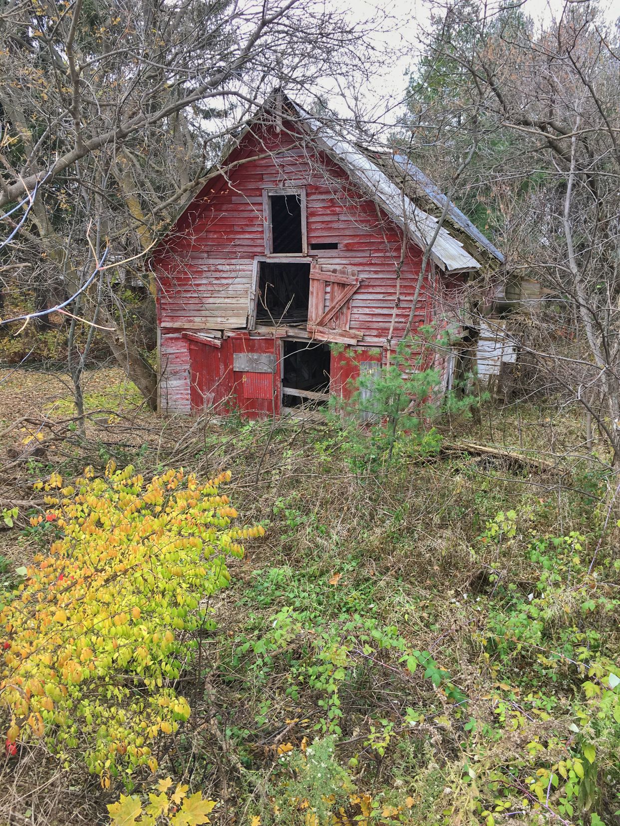 Abandoned Barn
