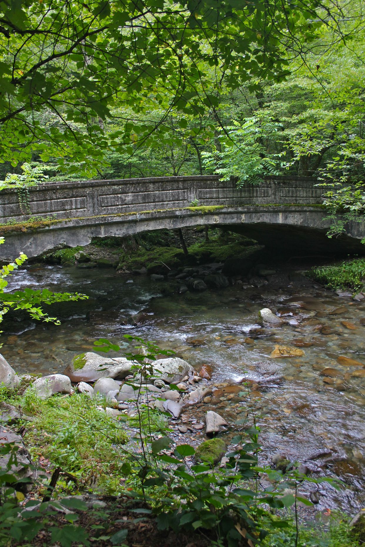 Smokemont Loop Trail 