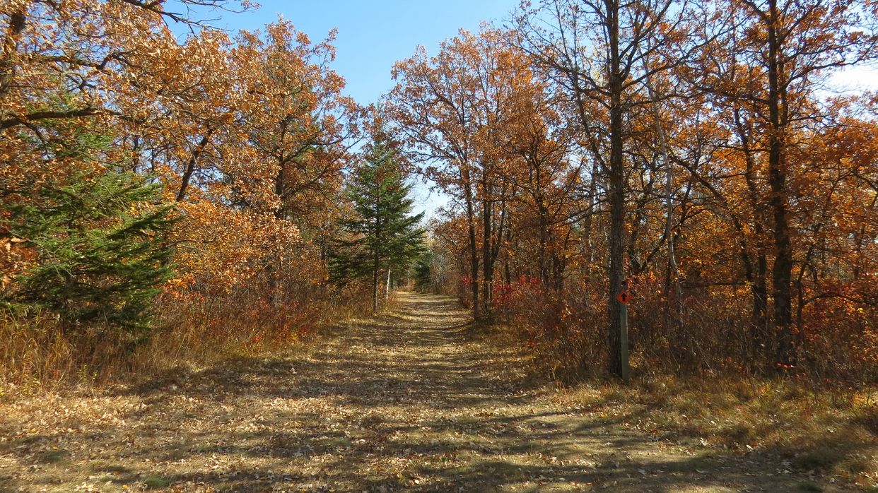 Birds Hill Provincial Park,