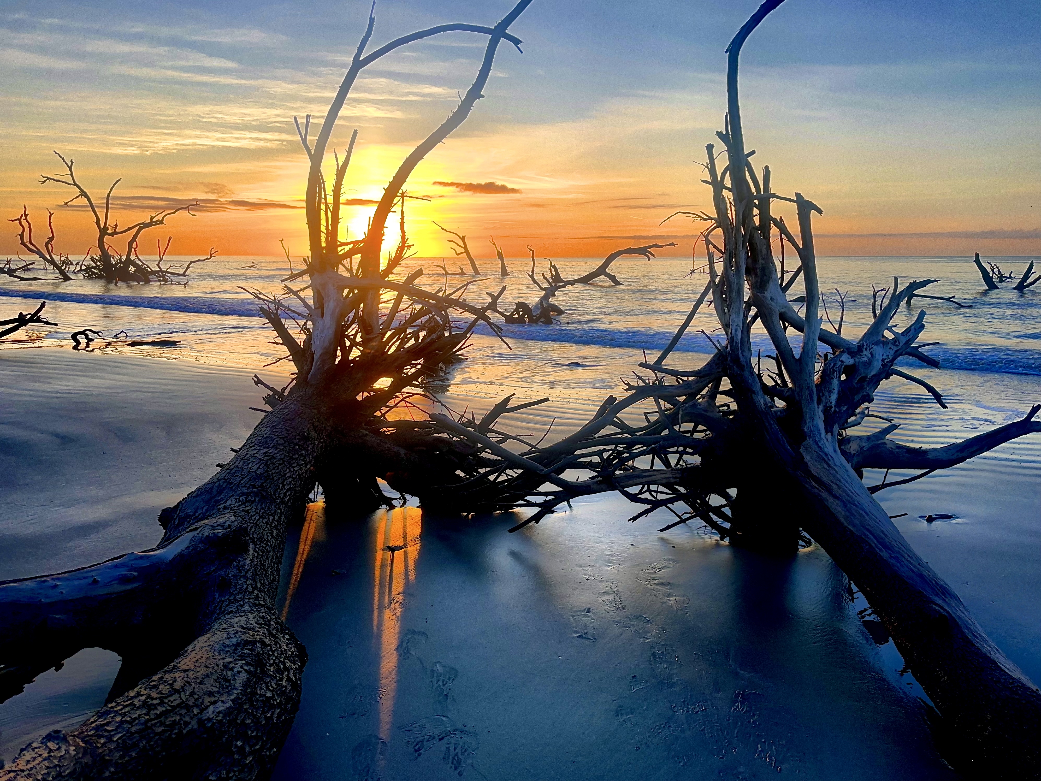 Hunting Island State Park Beach — Photo by Andrew Sawyer