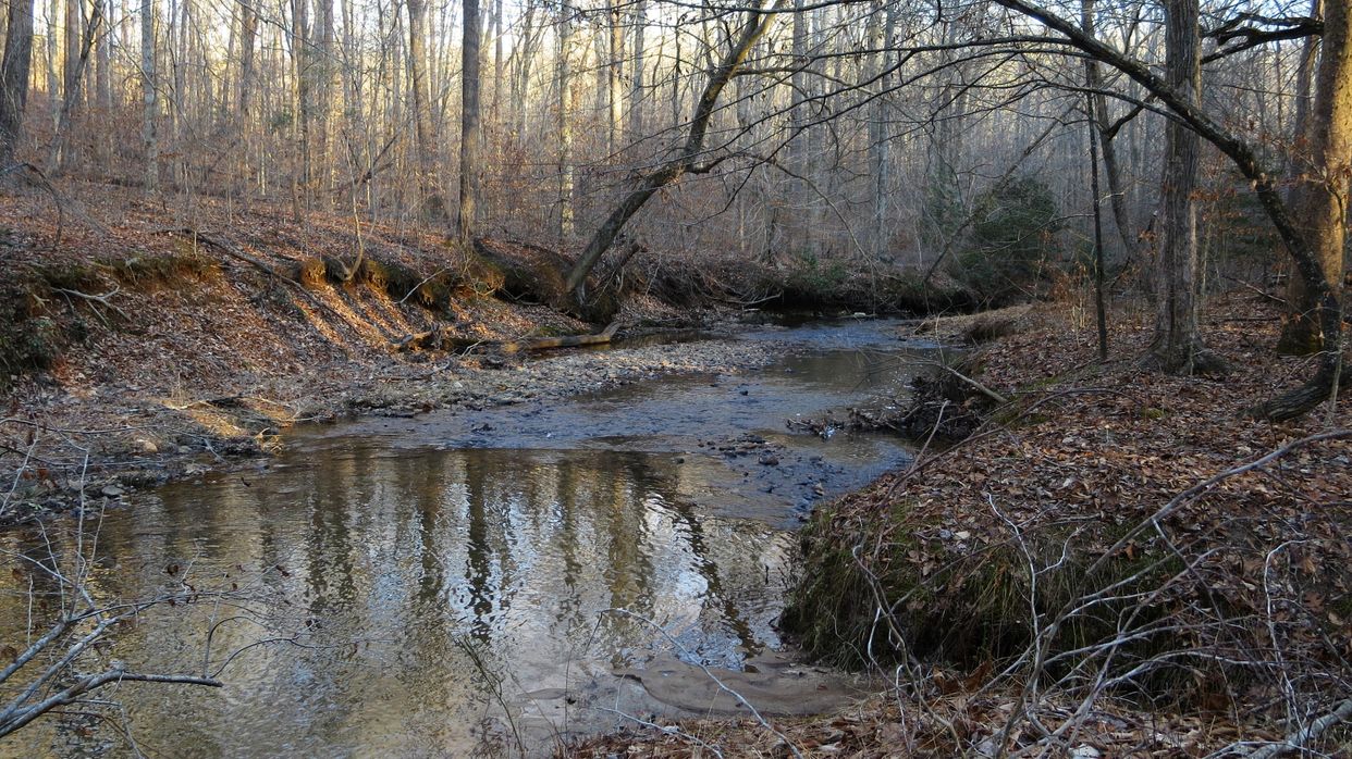 Quantico Creek