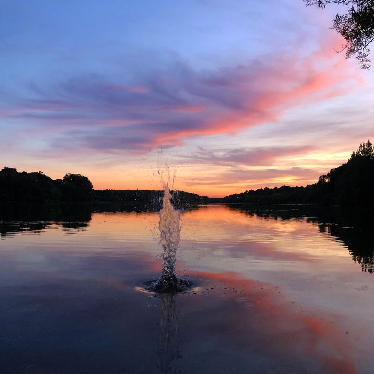 Clumber Lake