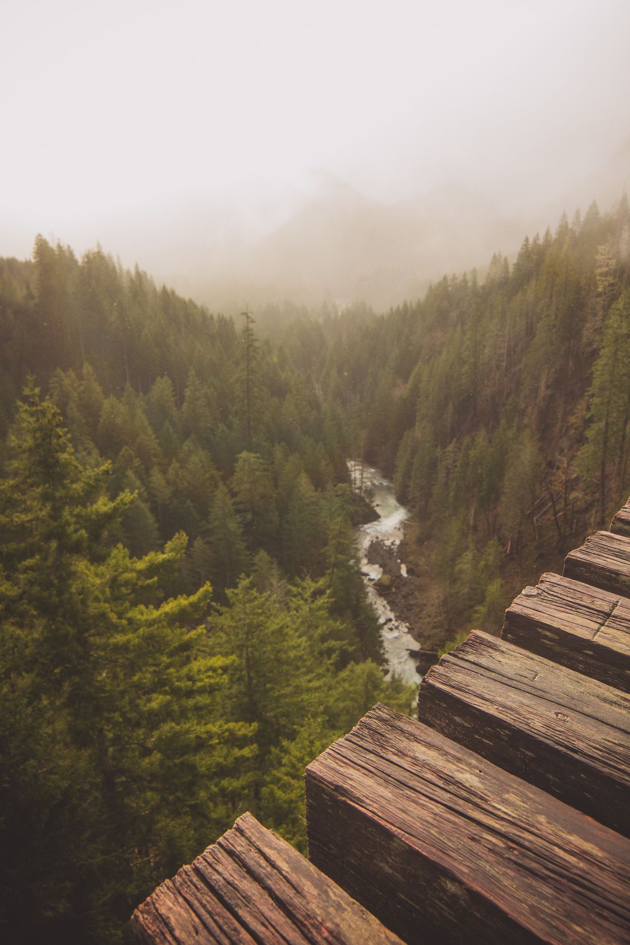 Vance Creek Bridge