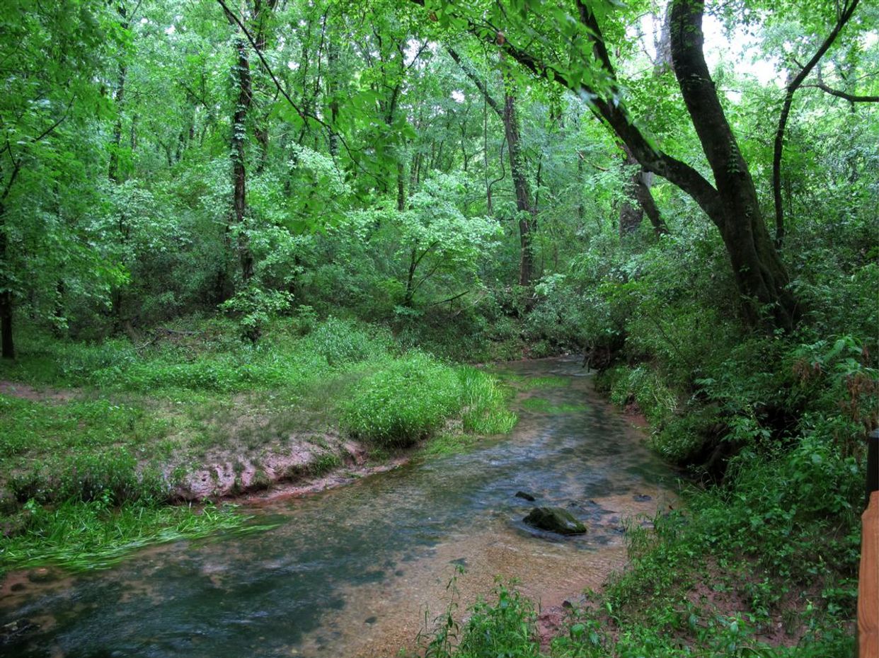 Buzzard Roost Creek