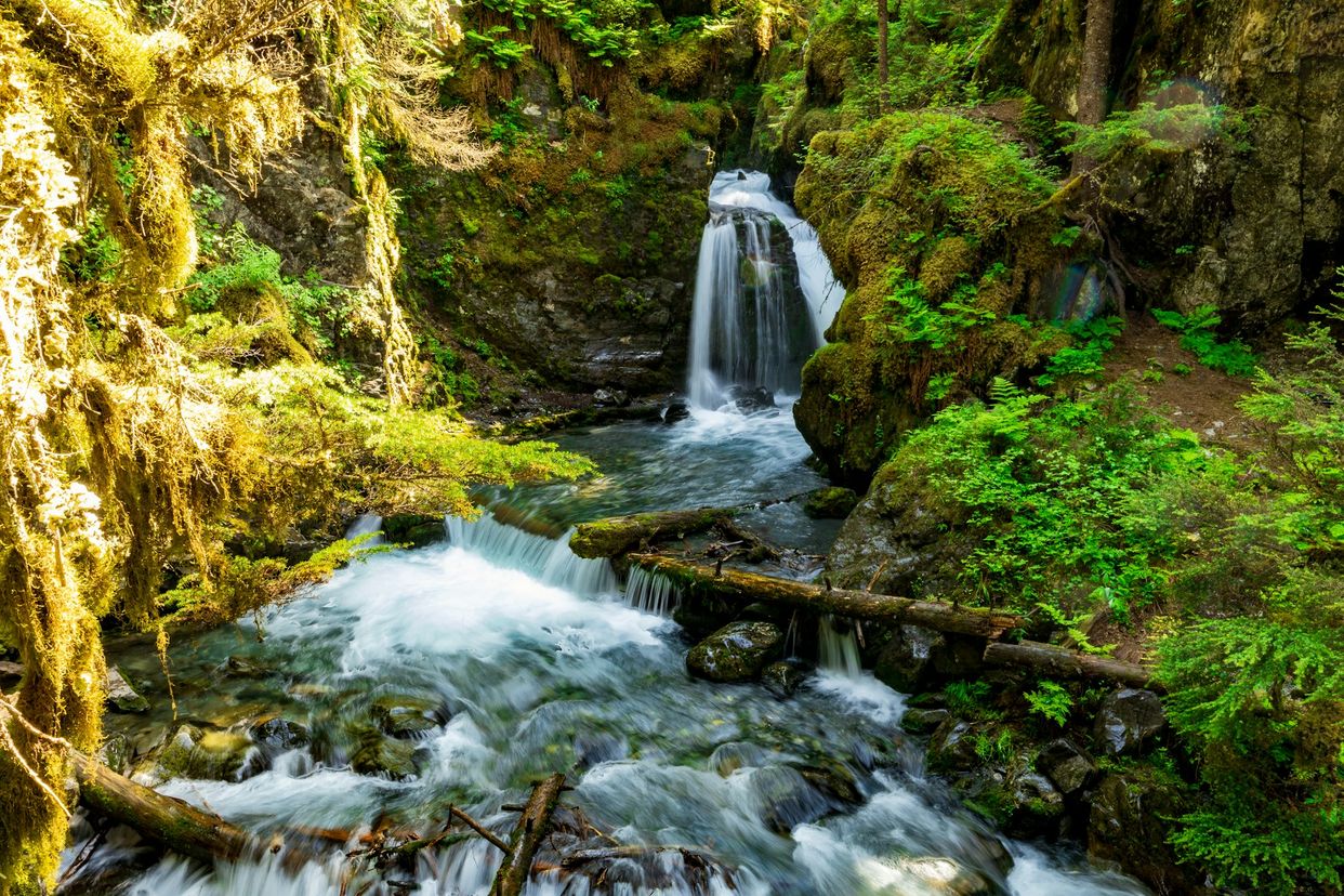 Virgin Creek Falls
