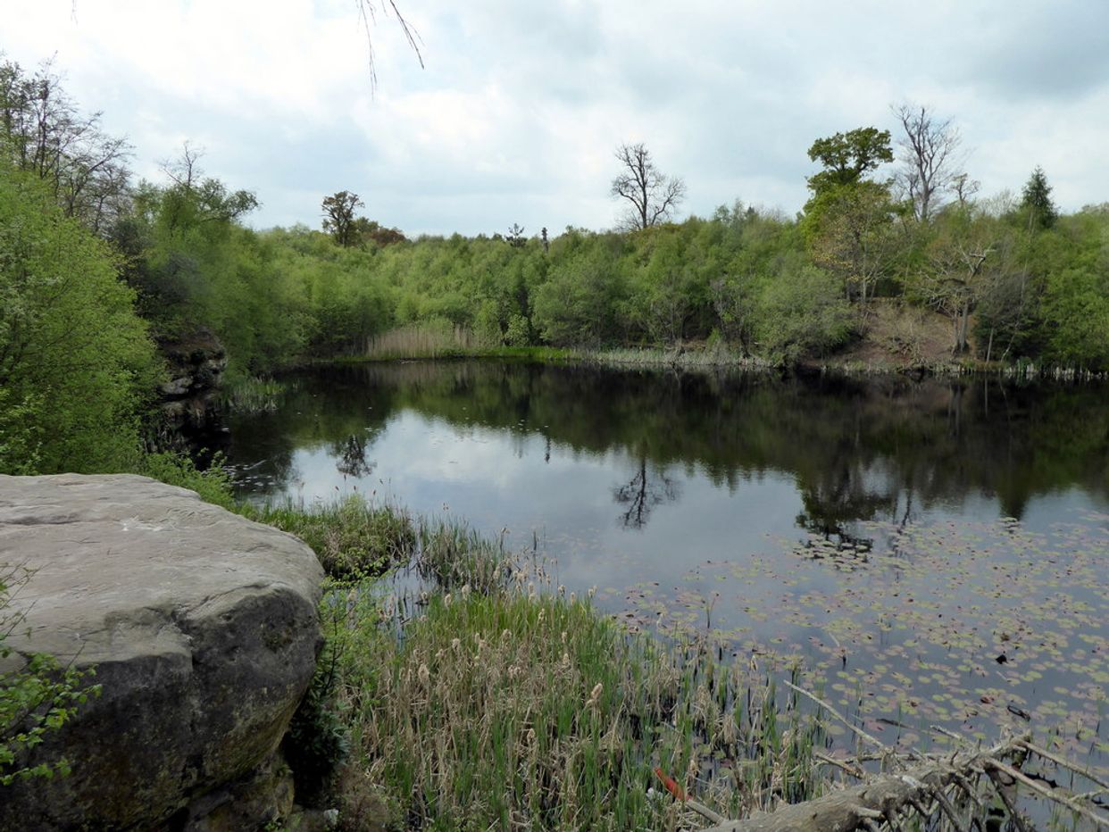 Lake Wood