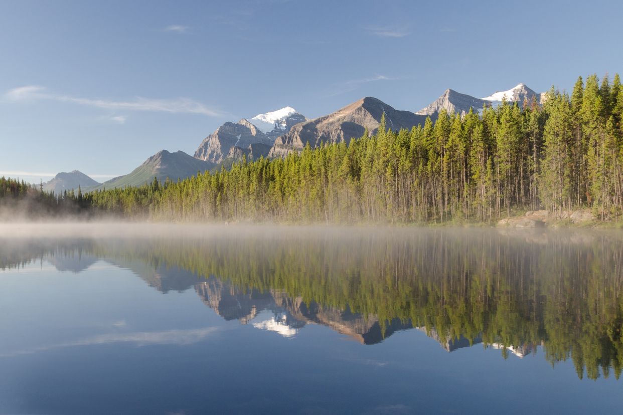 Herbert Lake