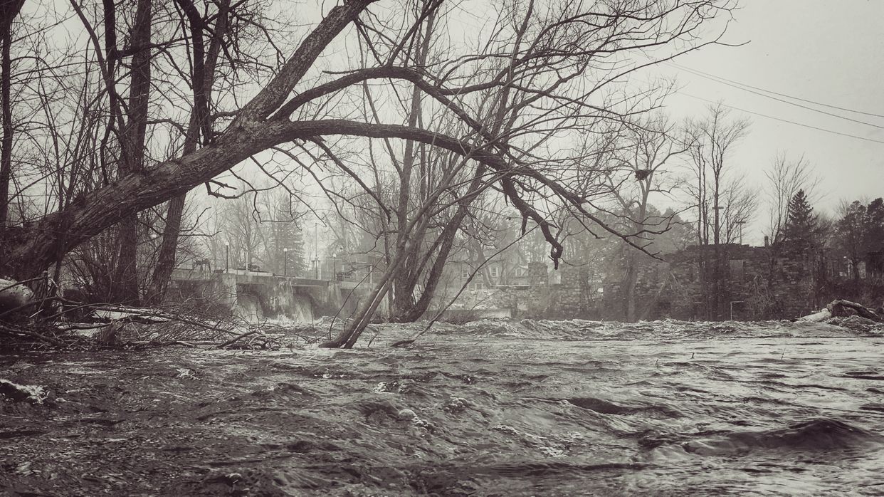 Mississippi River View